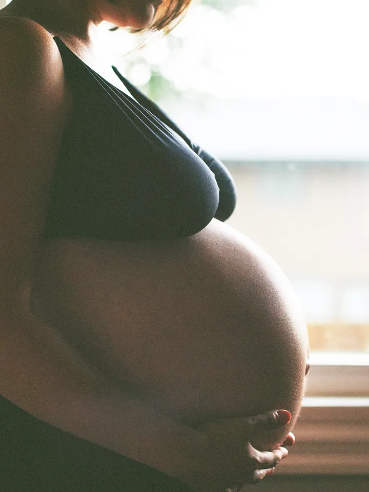 pregnant tits