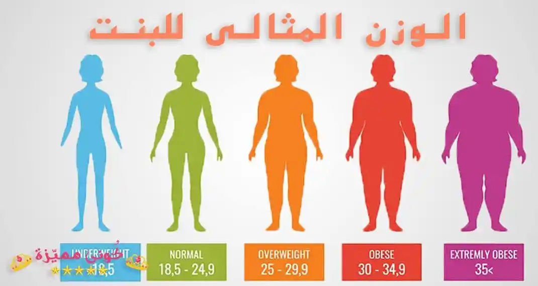 المثالي للمرأة