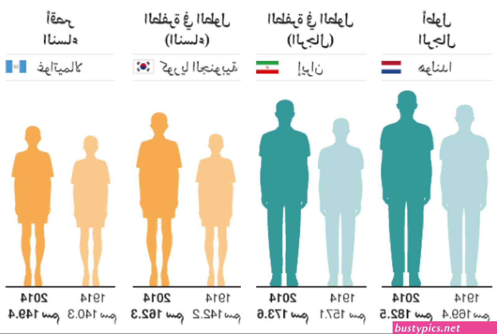 المثالي للمرأة