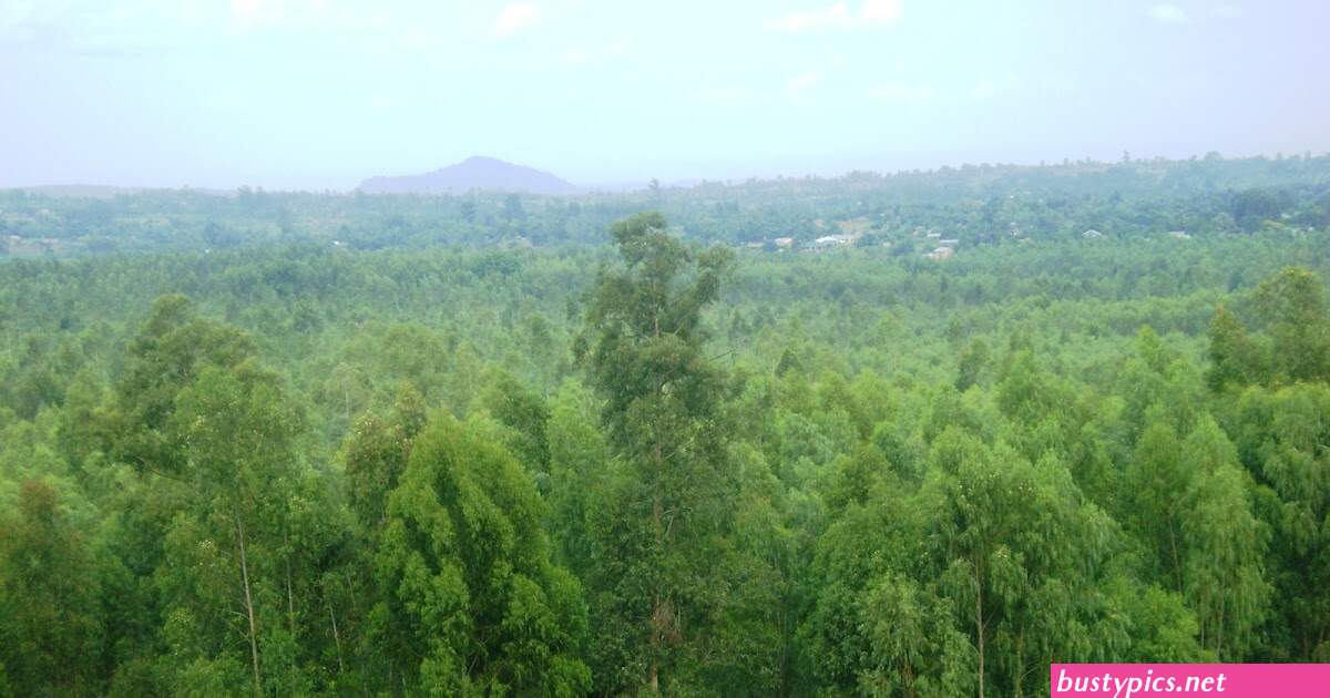 porn in lake victoria luo fuke