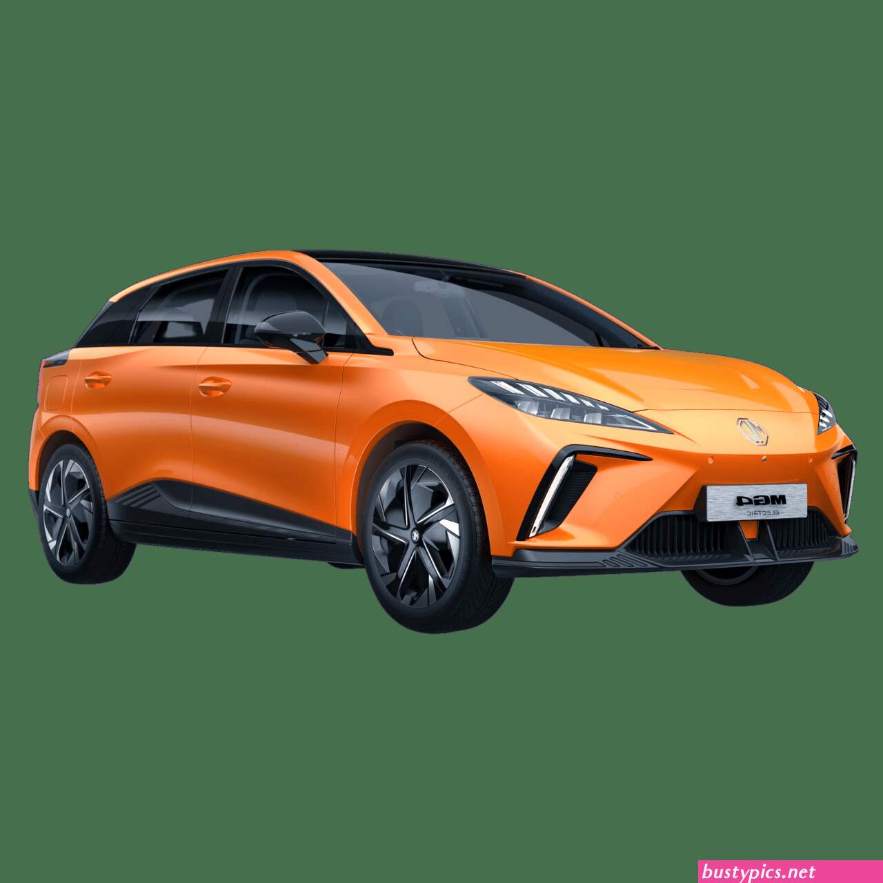 waptric.comme.xxl chinoise