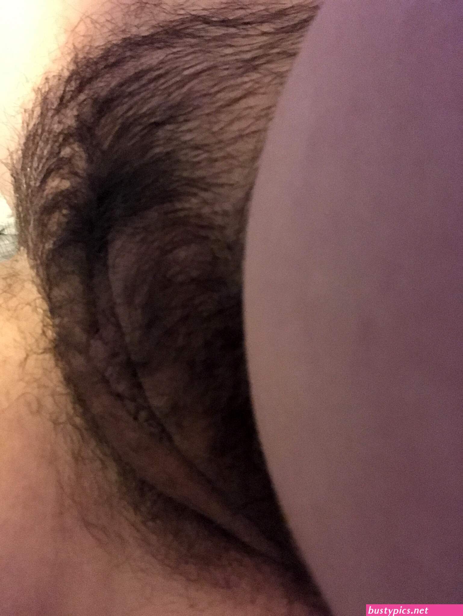 hairy porno