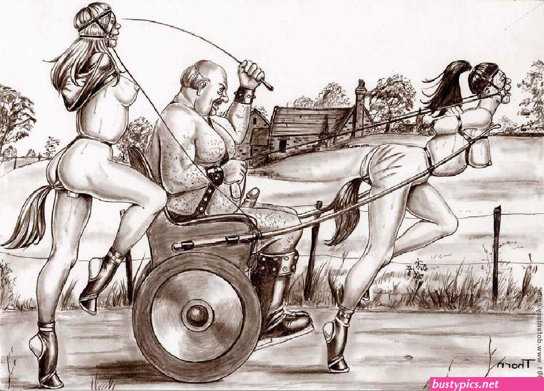 bdsm art ponygirls