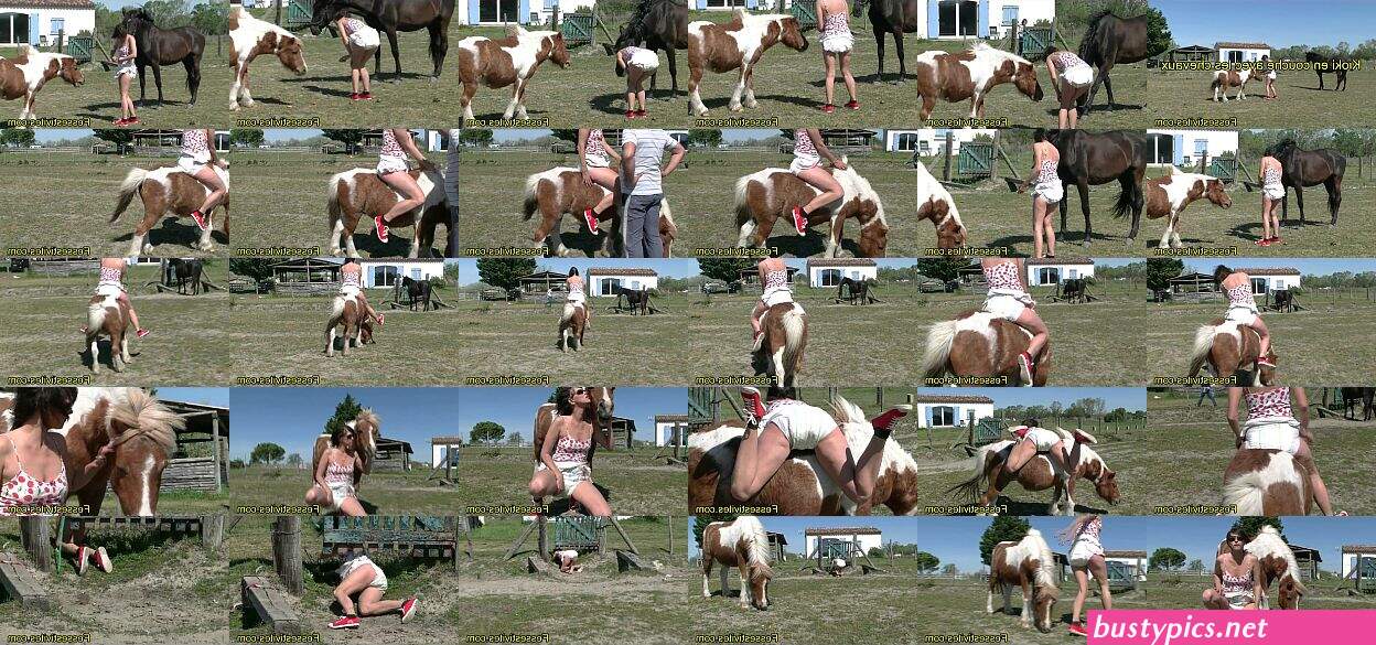prono xxx cheval video