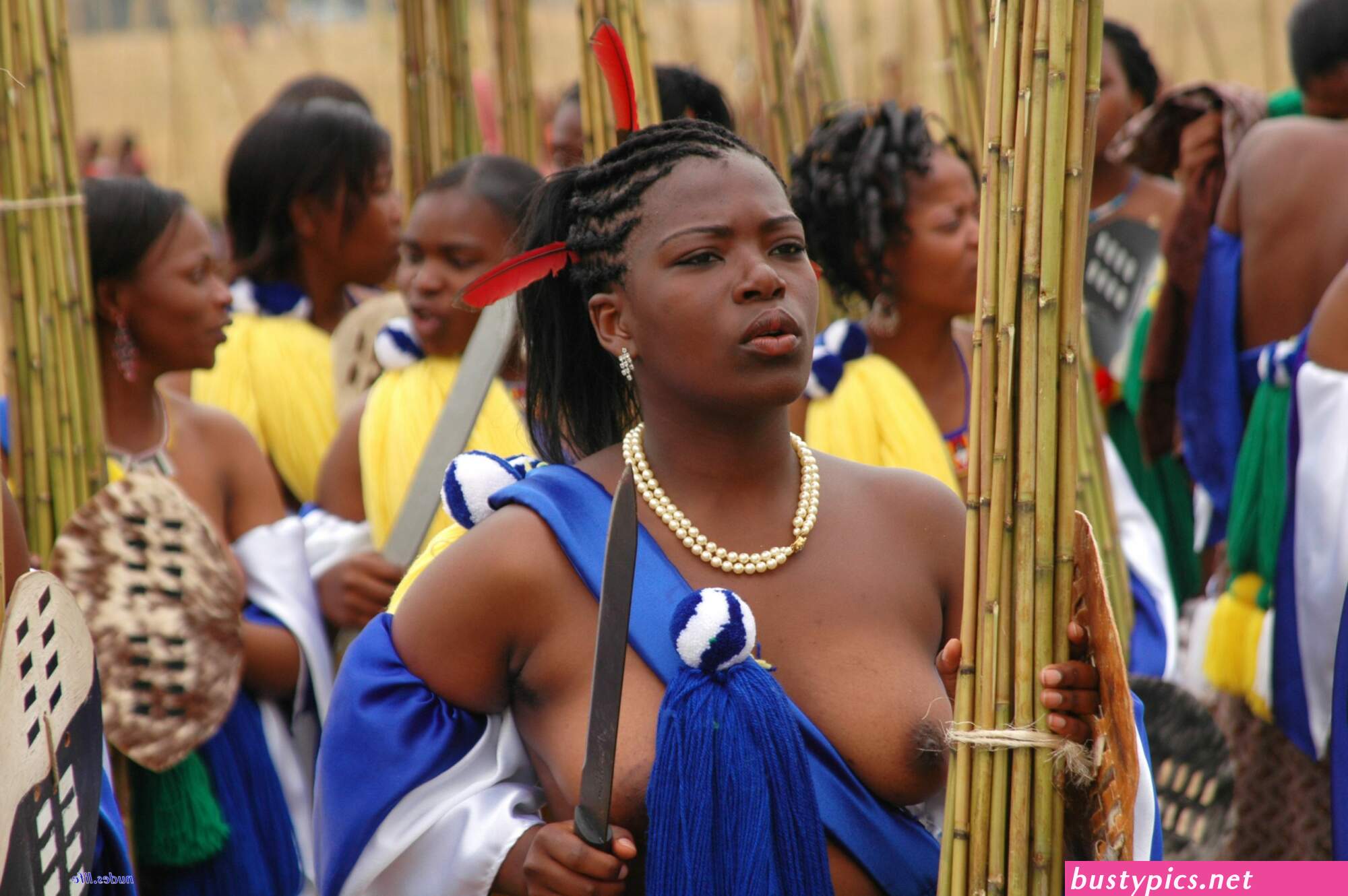 zulu reed dance xxx