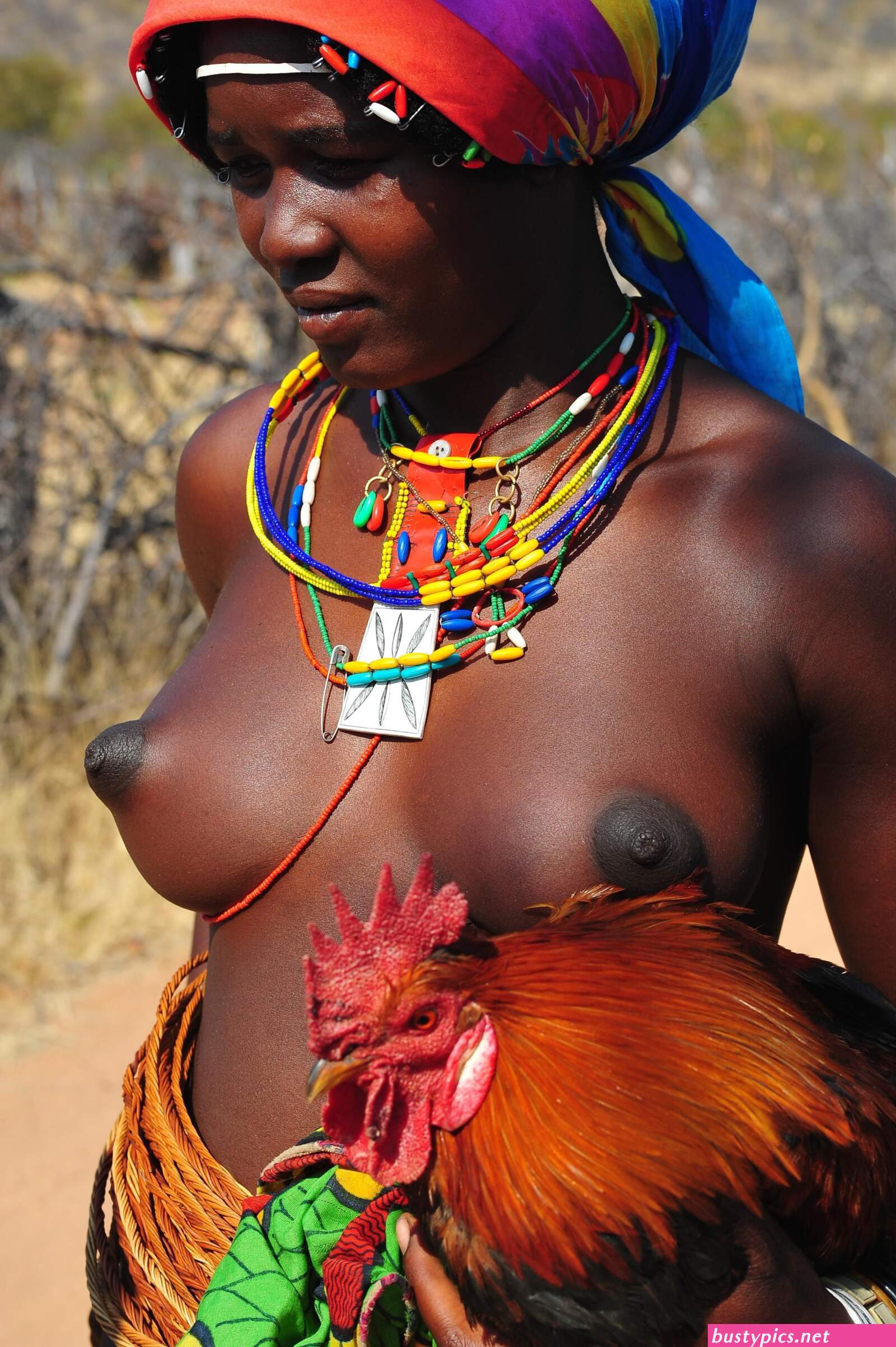 naked tribe hd