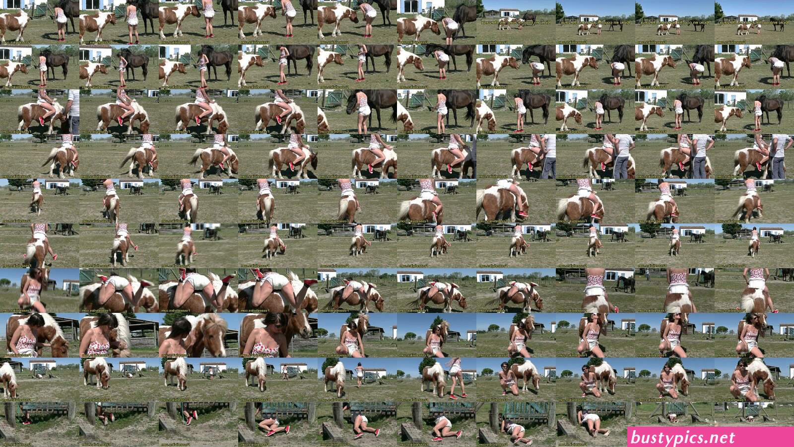 prono xxx cheval video